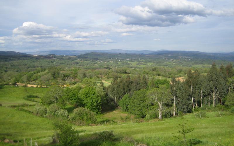 Fase 2: Traballo de campo