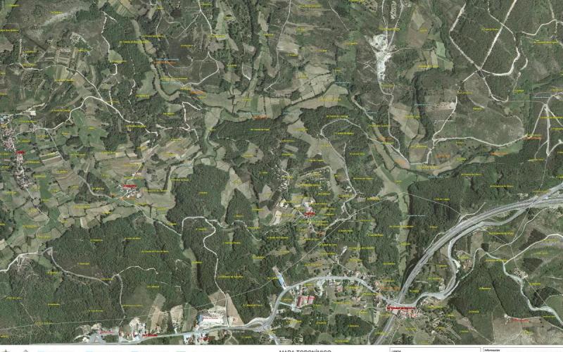 Fase 8: Entrega final a los ayuntamientos y difusión en la red